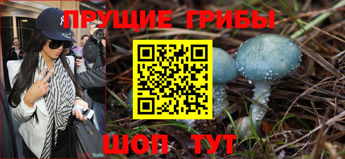 Курганинск  Галлюциногенные грибы ЛСД  Вход с VPN 
